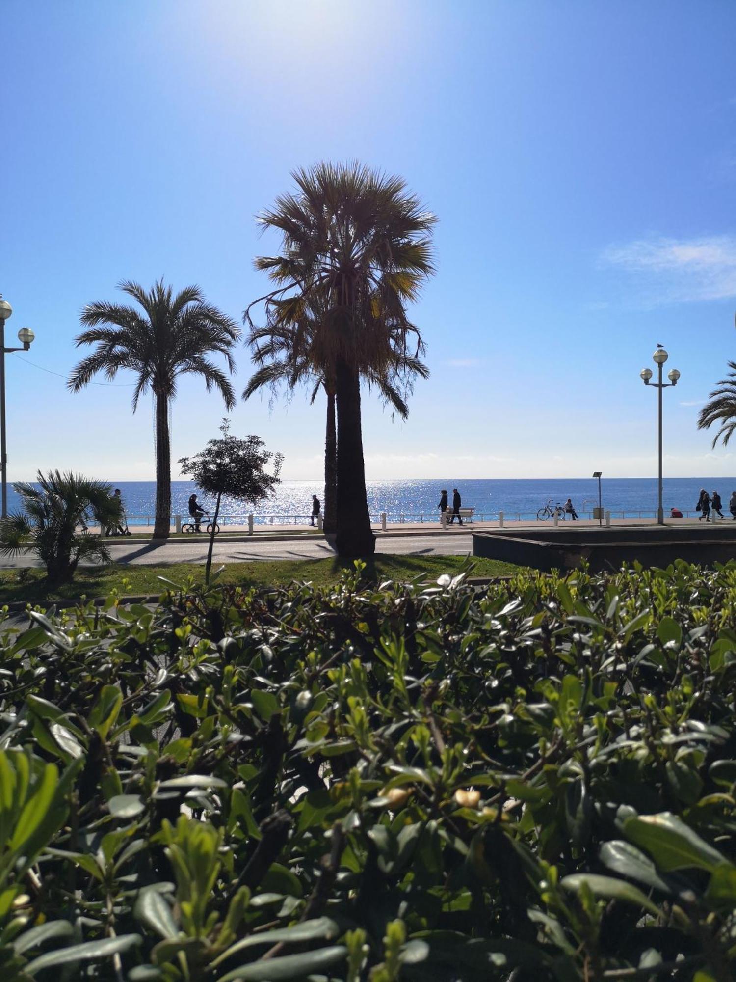 Garden Atlantide Promenade Apartamento Nice Exterior foto