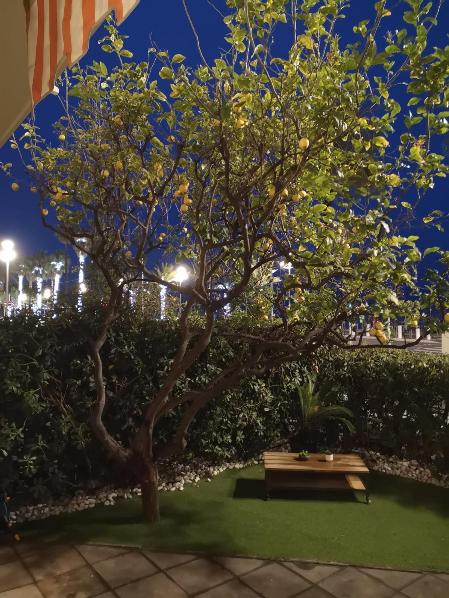 Garden Atlantide Promenade Apartamento Nice Exterior foto